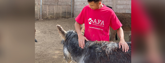 Animals First Aid (AFA) - Caring for all, leaving no one behind.